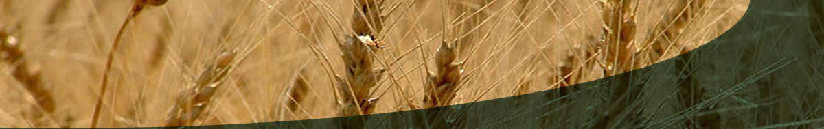 Norfolk Farm Management - Contact Norfolk Farm Management.