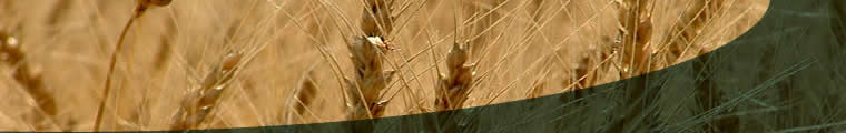 Norfolk Farm Management - BAWAG